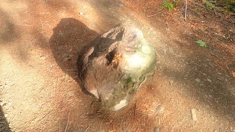 Bigfoot Evidence - boulder in road near other bigfoot evidence