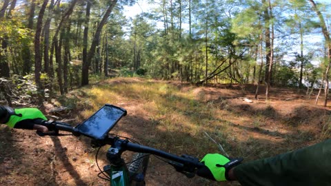 Downhill Lost In The Woods - 2