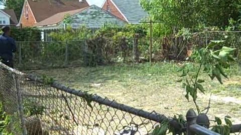 finishing up on Hoover st on the shea show