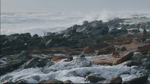 Daily Horoscope | Scorpio 🌟