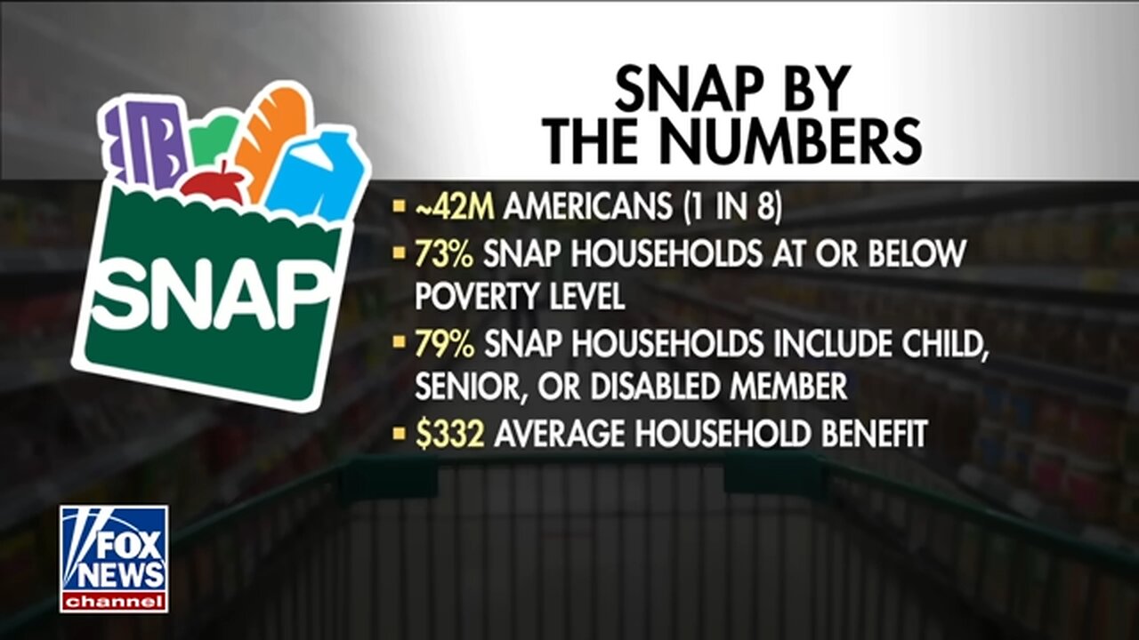 ‘CORRUPT SYSTEM’: Illegal immigrants’ use of SNAP benefits revealed