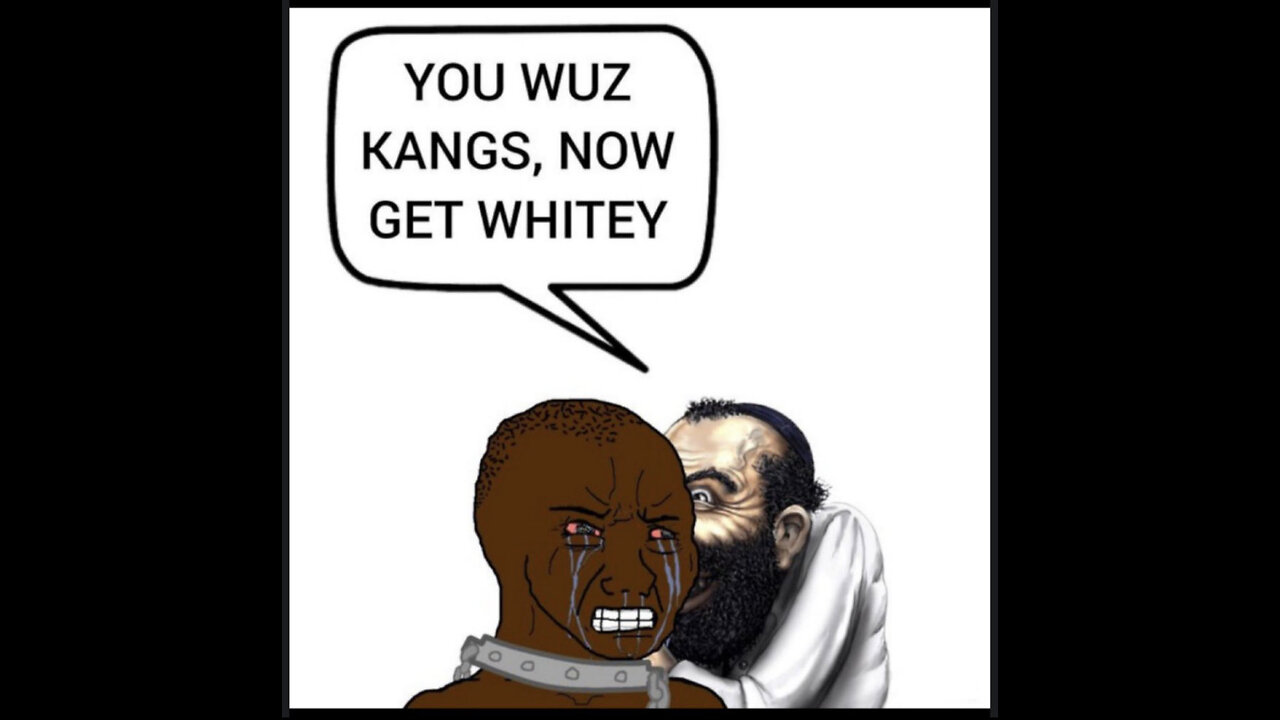 'The Pernicious Myth Of The Caucasian Race', Critical Review. Race Realism Comfy Wednesday Livestream