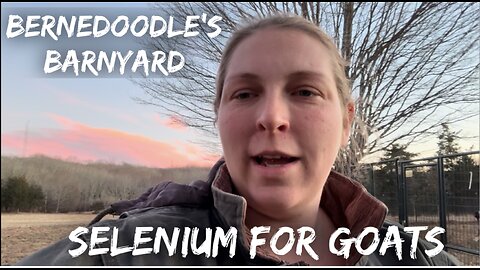 Selenium For Goats VLOG#054