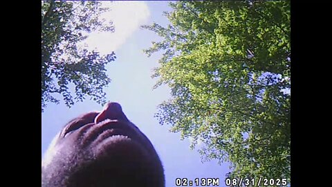 Jack Witch Project, Found Footage While Lost In The Woods Of Michigan.