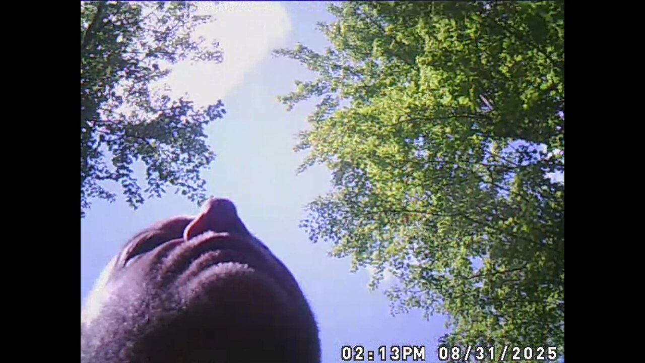 Jack Witch Project, Found Footage While Lost In The Woods Of Michigan.