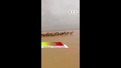 #Syria #PalmyraDesert #Floods #weather #climate #destruction #anomaly #climatecrisis