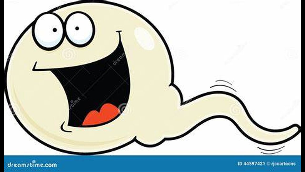 Talking to Muslims 427: Sperm is produced between the backbone and the ribs!