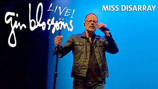 Miss Disarray Live - Gin Blossoms 2025 Tour