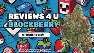 BLOCKBERRY (STRAIN REVIEW) | REVIEWS 4 U