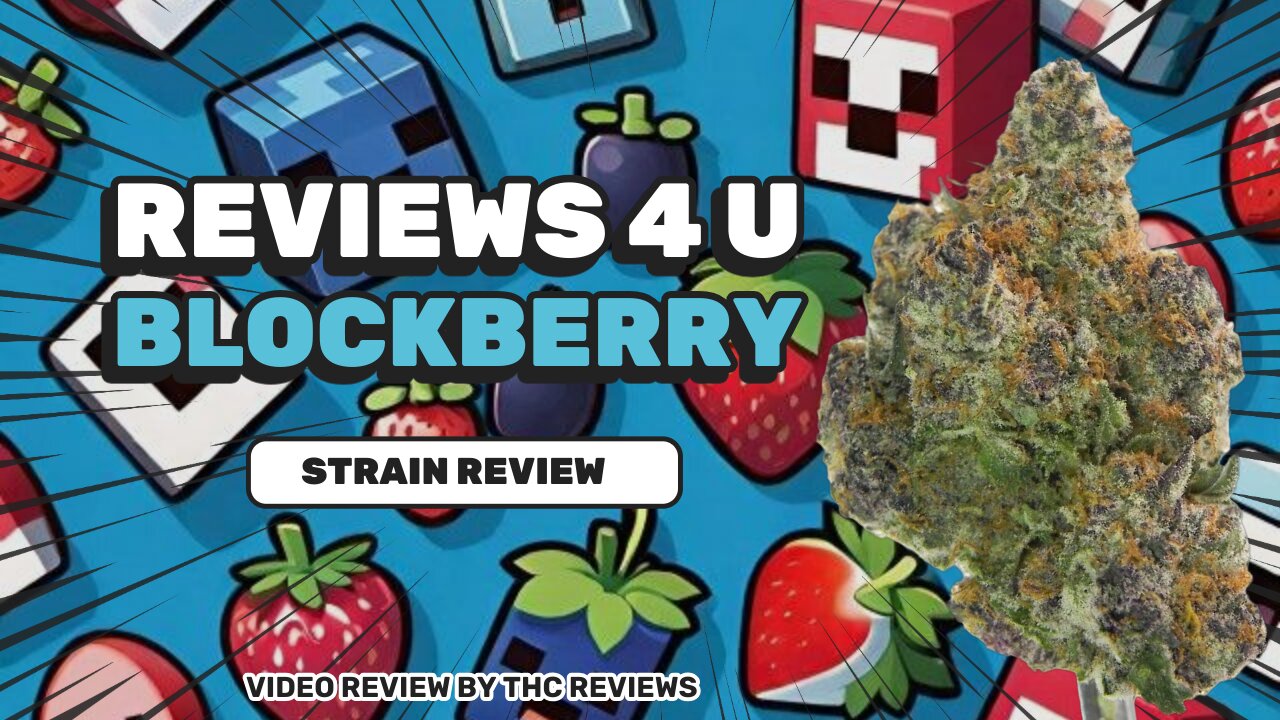 BLOCKBERRY (STRAIN REVIEW) | REVIEWS 4 U
