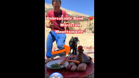 Unbreakable Bond 🐐❤️ Moroccan Mountain Life”