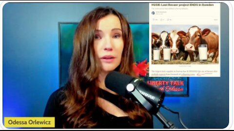 COWS COLLAPSING FROM MANDATED BOVAER ADDITIVE- FARMERS FURIOUS! MRNA FLUVAX TRIAL DANGEROUS FAIL