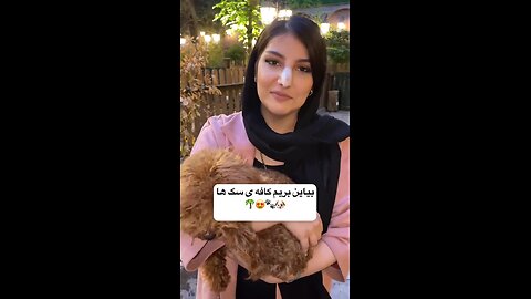 🤔🤫🤭اینم از کافه سگ ها توتهران عمرا" اگه میدونستید