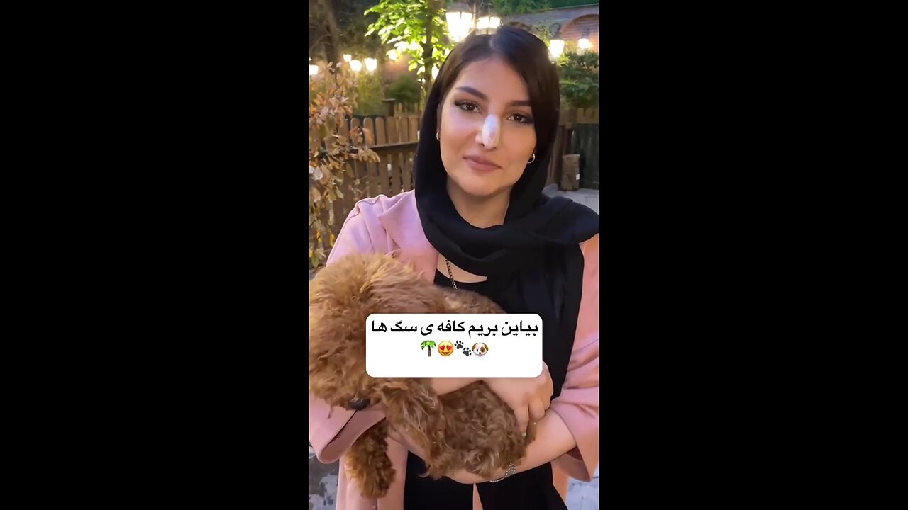 🤔🤫🤭اینم از کافه سگ ها توتهران عمرا" اگه میدونستید