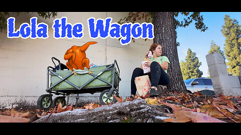 Cooking a Salvadorian Turkey for my familia and meet new car aka wagon-Lola!