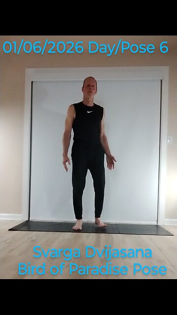 Bird of Paradise Pose / Svarga Dvijasana