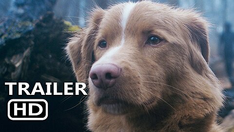 GOOD BOY Official Trailer (2025)