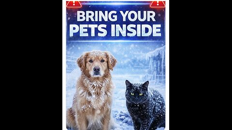 MY CAT SURVIVED 15 HOURS IN THE SNOW AND ICE