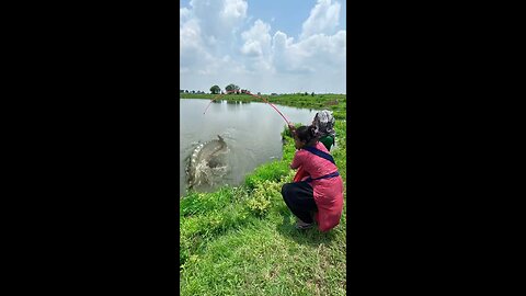 Unique Lady hook fishing🎣🎣 _ Pond fishing #hook_fishing #fishingtechnique #fishing_video Ep-36