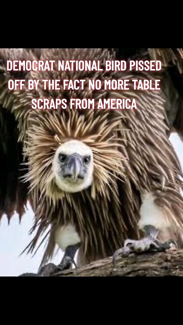 NEW DEMOCRAT NATIONAL BIRD