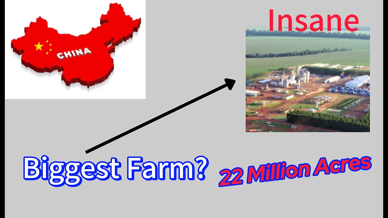 “Inside Earth’s Biggest Farm — And Its Hidden Power 😳”
