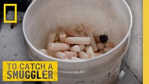 LIVE: Fentanyl, Looted Gold, & Cocaine-Filled Fish | To Catch a Smuggler | S4 FULL EPISODES