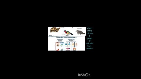 science quiz for children
