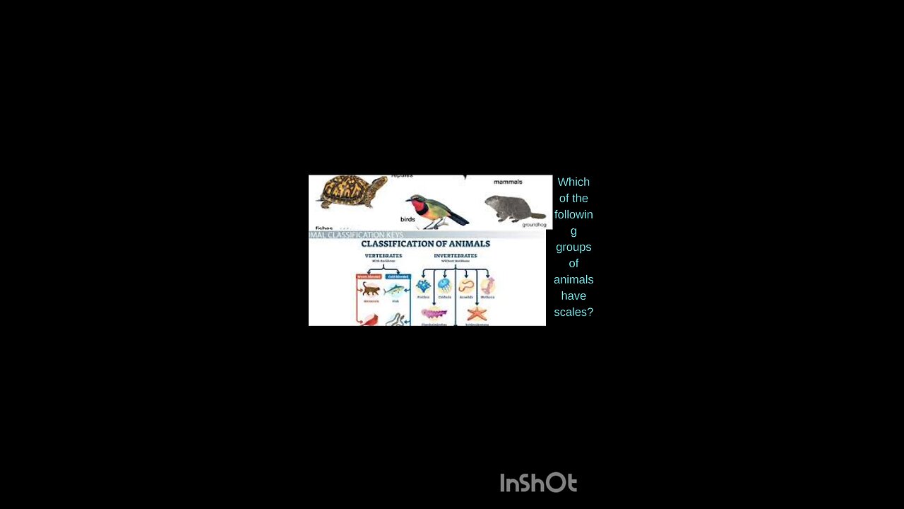 science quiz for children