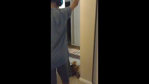 Introducing Jr, the jumping cat