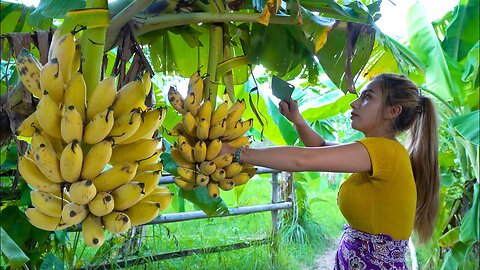 In my rural area, fresh bananas and cooking recipes