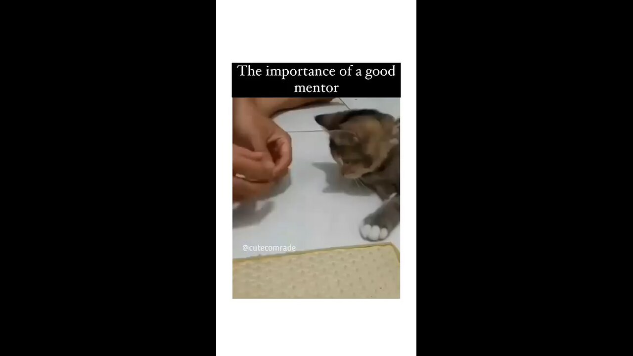 😂