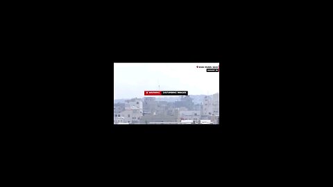 G E N O C I D E ✨️