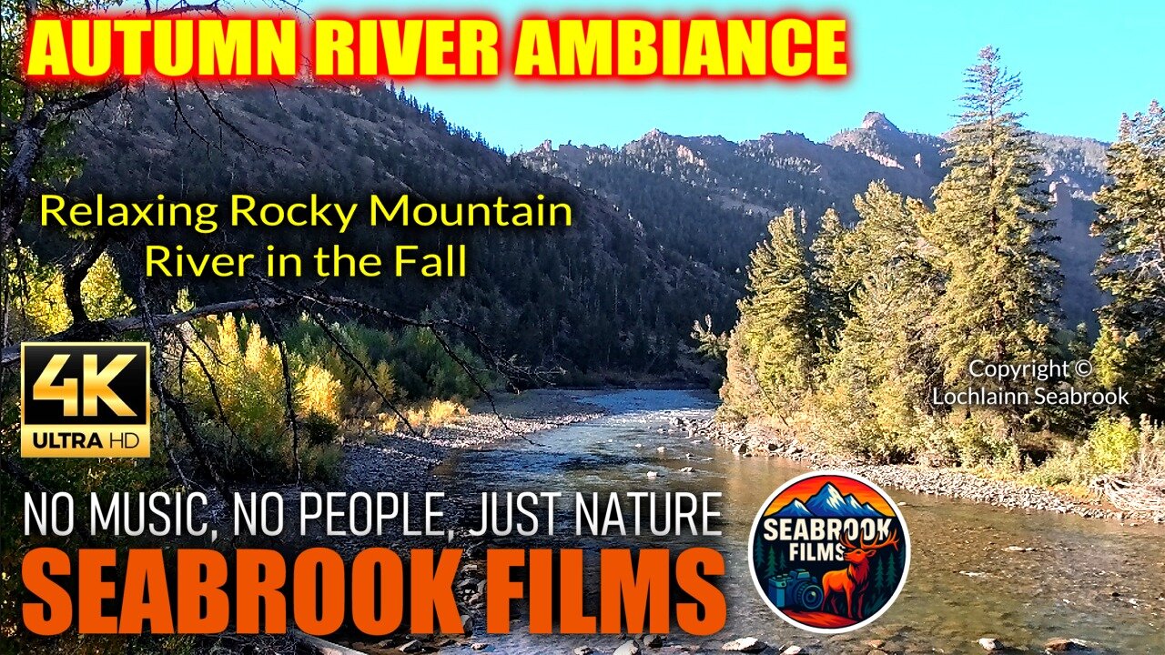 Autumn River Ambiance: Relaxing Mountain River in the Fall