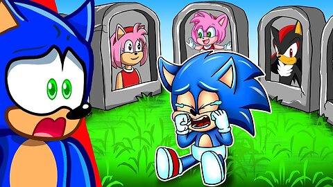 BABY SONIC'S SAD STORY...