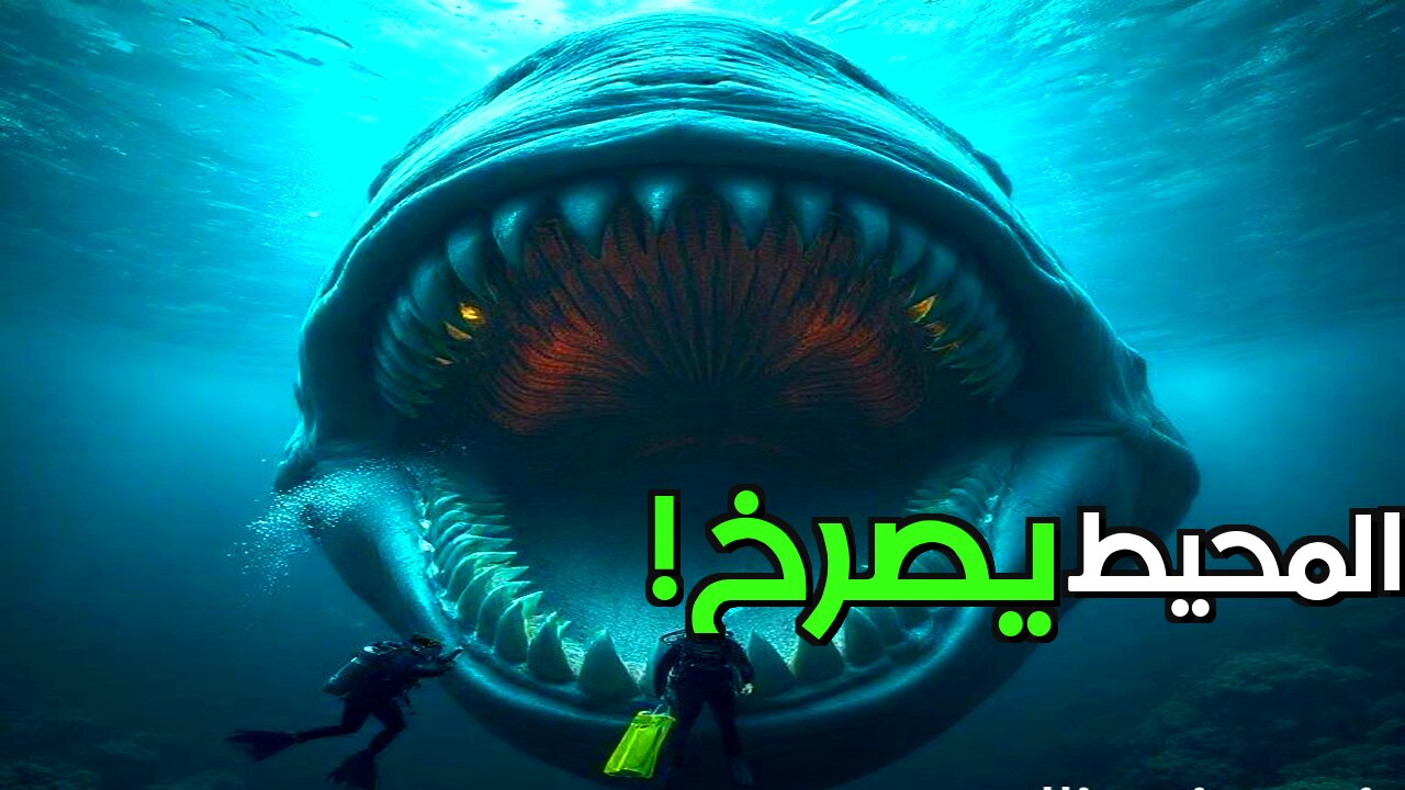 الأصوات الغامضة: هل تتحدث إلينا أعماق المحيط؟