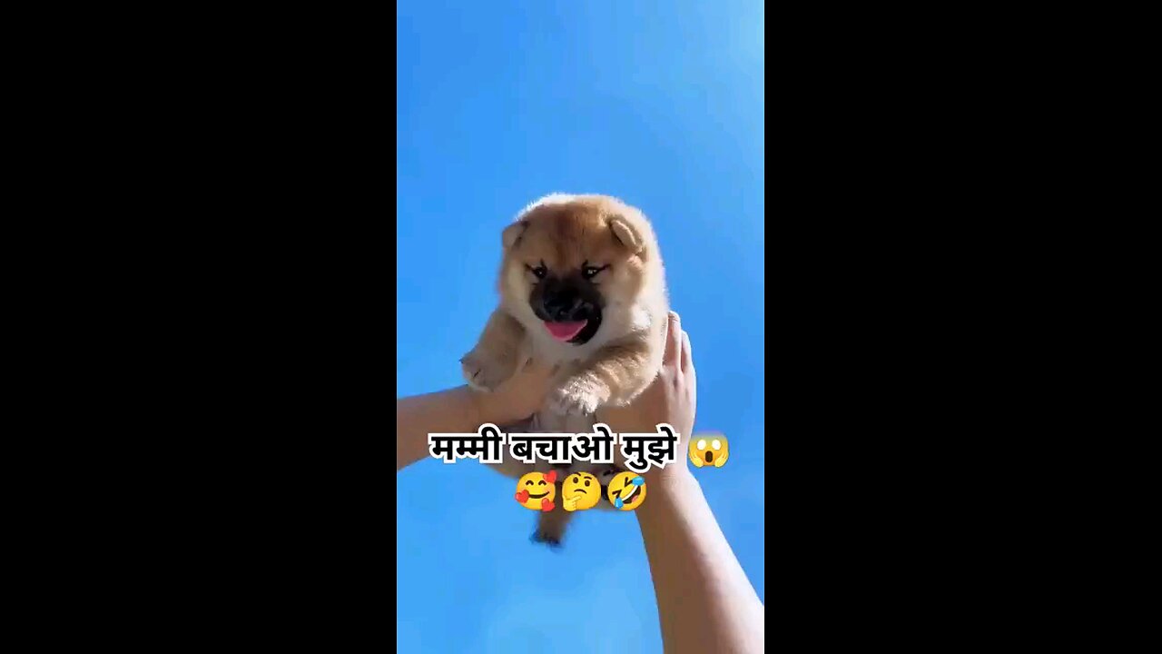 हाय मम्मी बचाओ