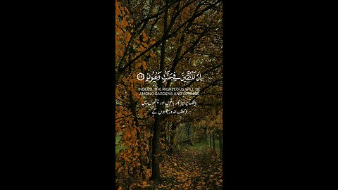 🔥 Surah Az-Zāriyāt 51:15-16 سورة الذاریات ⚡🌿✨ #Quran #shorts #viral #love #youtubeshorts #trending