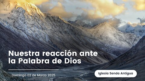 Nuestra reacción ante la Palabra de Dios - Domingo 02 de Febrero 2025