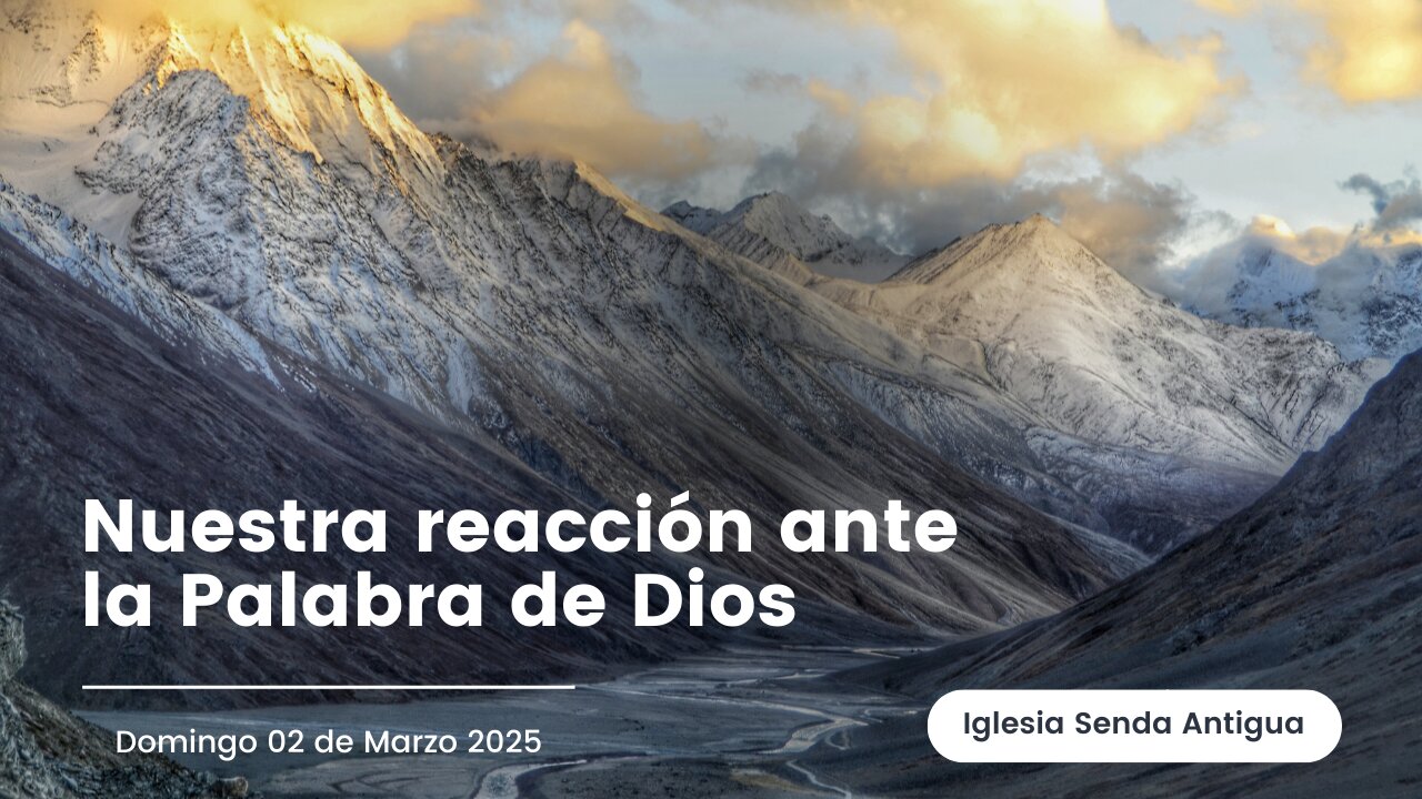 Nuestra reacción ante la Palabra de Dios - Domingo 02 de Febrero 2025