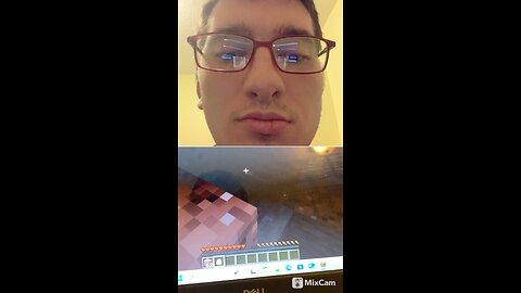 Playing Minecraft