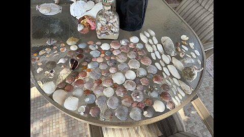 Beach Finds 11/25/2025 | 4K