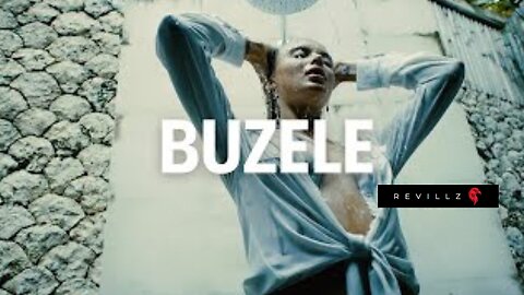 🎶 Buzele (Remix) | Official Music Video 🔥