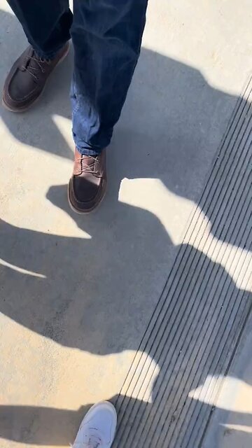 Hit them with their own stupidity 🤣