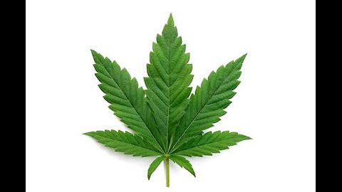 Trump's Marijuana Reclassification Plan: The Truth RevealedTrump's