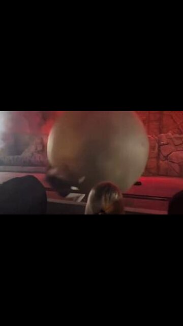 🚨Disney Employee Saves Audience From 400lb Boulder After Dangerous Set Malfunction ⚠️