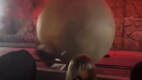 🚨Disney Employee Saves Audience From 400lb Boulder After Dangerous Set Malfunction ⚠️