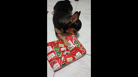 Christmas Gift for CHLOE
