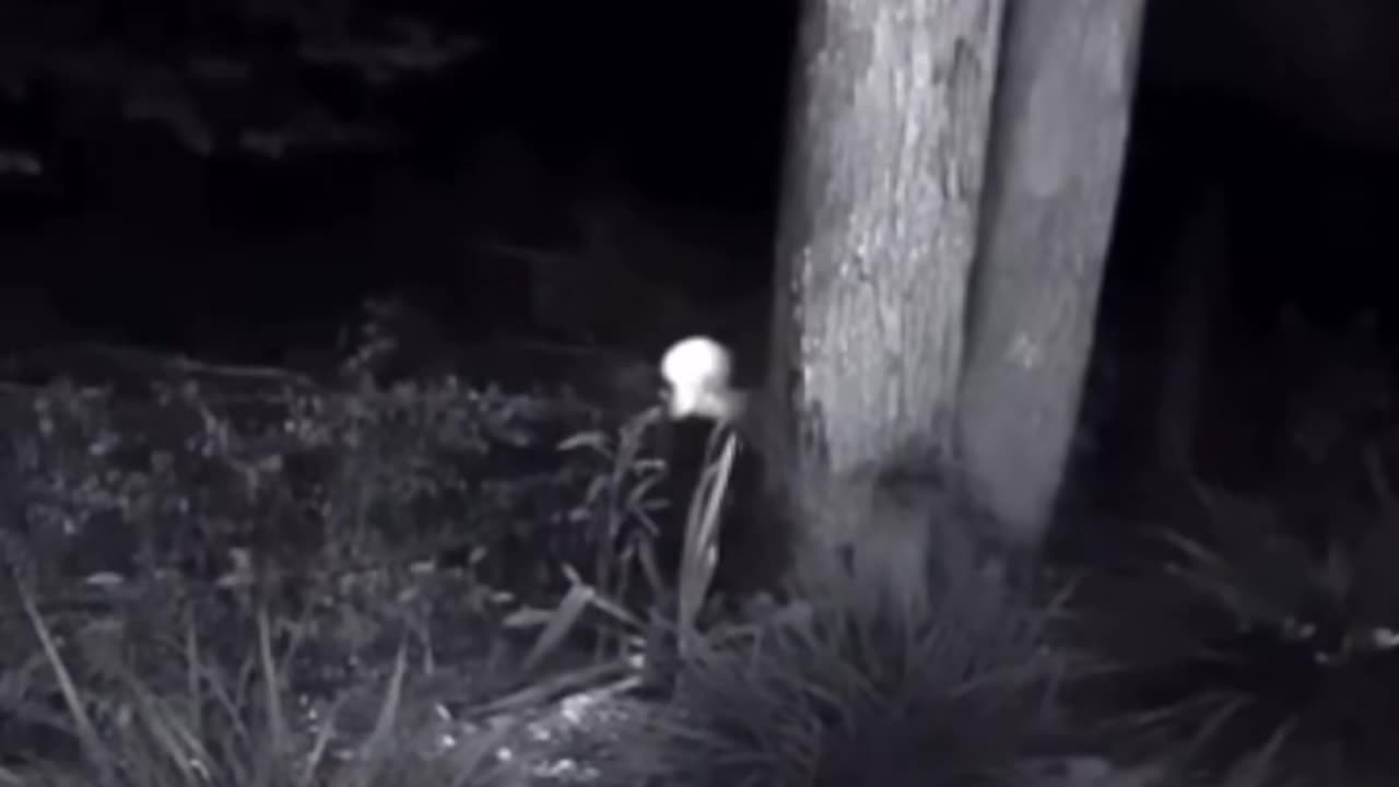 👹🧿 Skinwalker Caught on Camera | TheHauntingHour