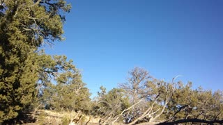 Operation: Space Space - Update