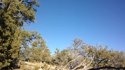 Operation: Space Space - Update